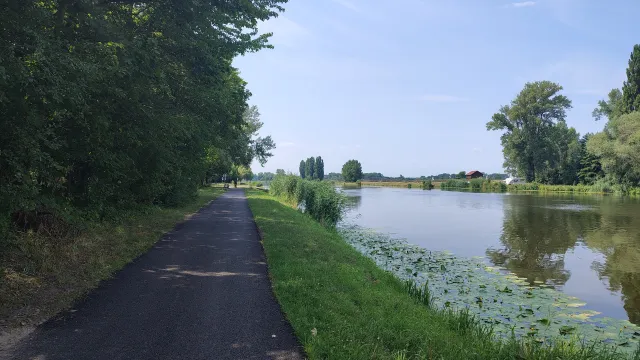 Labská cyklostezka
