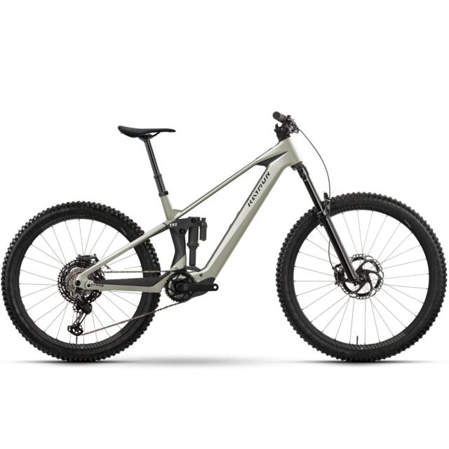 Elektrokolo Raymon Tarok Pro - titansilver